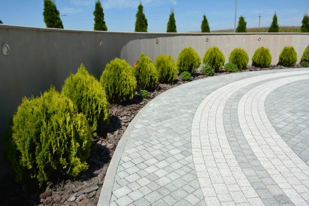 Best Decorative Driveway Pavers  in Emigration Canyon, UT